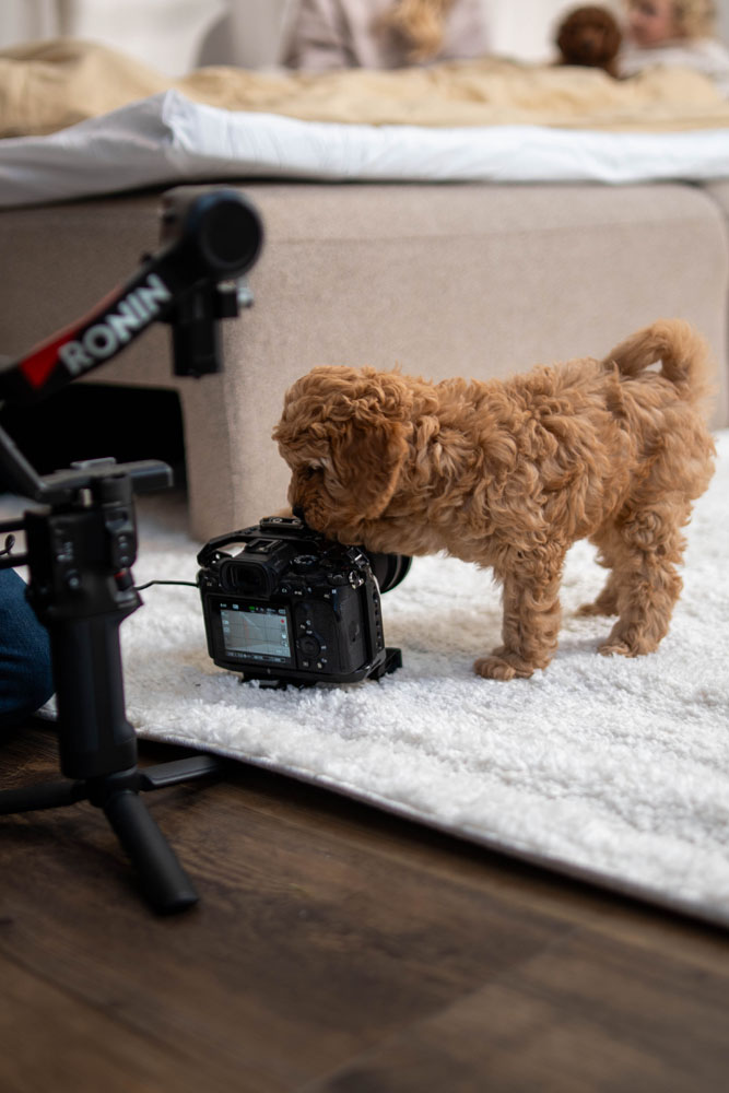 Videofirma Odense, Fyn